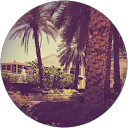 Tory Rocket profile picture